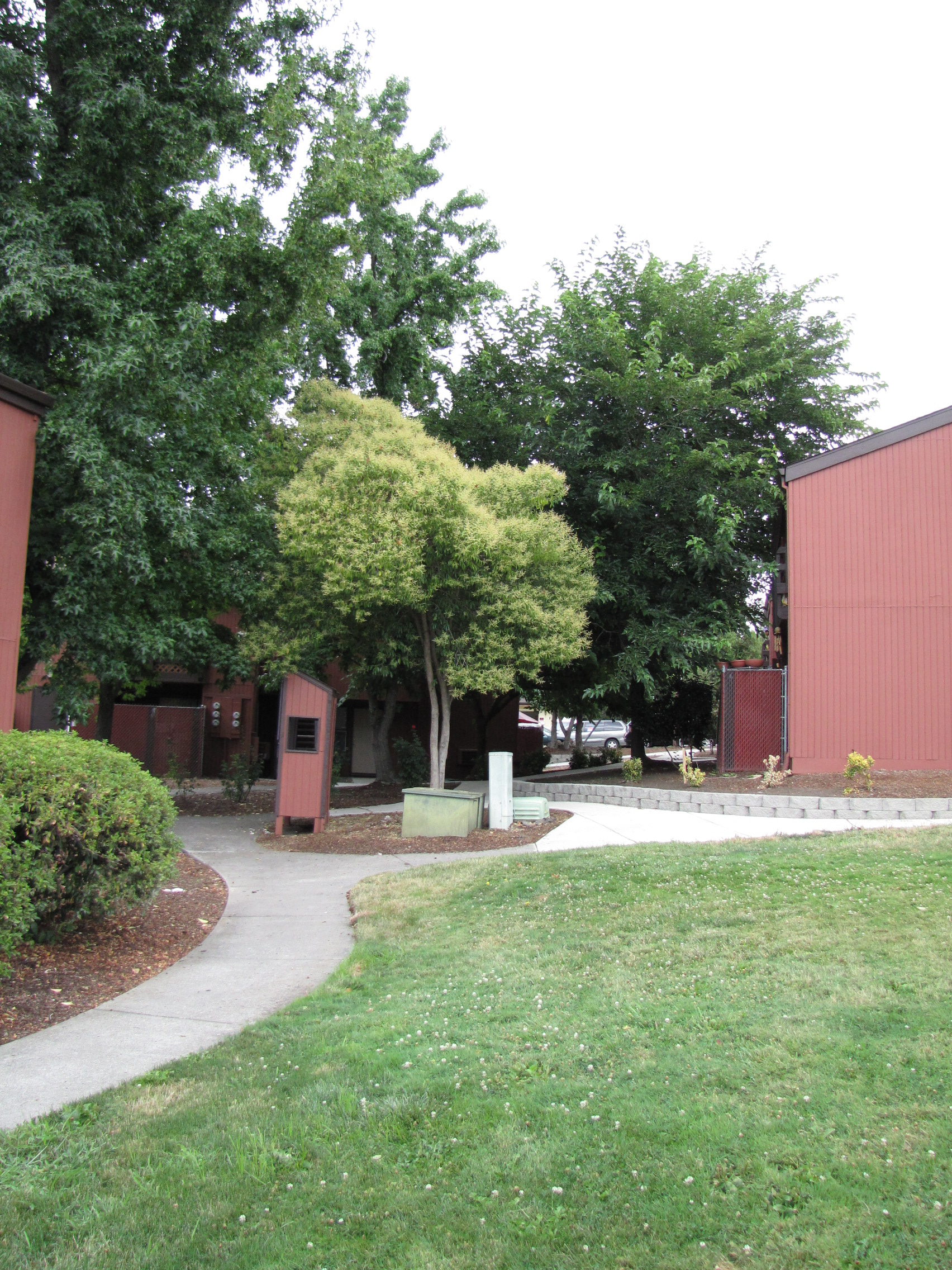 2300 East Barnett Rd., #68